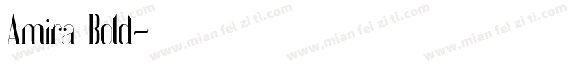 Amira Bold字体转换